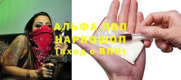 дмт Бердск