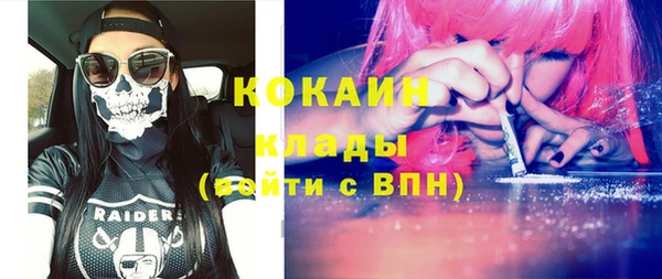 альфа пвп Медвежьегорск