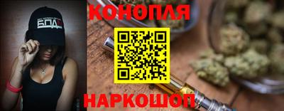 индика Бийск