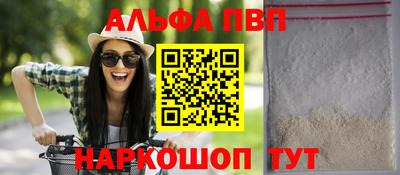 стаф Берёзовский