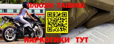 стаф Берёзовский