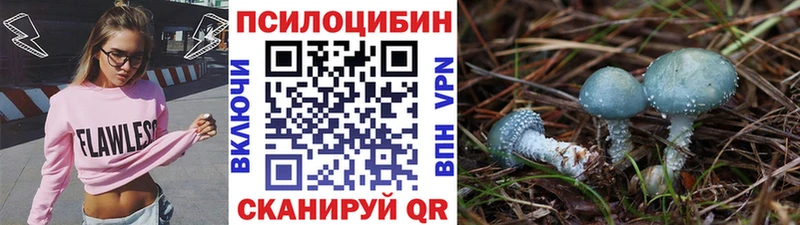 Галлюциногенные грибы Psilocybine cubensis  даркнет сайт  Калуга 