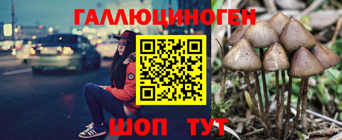 как найти закладки  Вход с VPN  Калуга  Псилоцибиновые грибы GOLDEN TEACHER  Галлюциногенные грибы ЛСД 